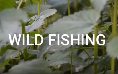 WILD FISHING épisode 2